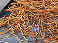 Oven-Baked Shoestring Fries
