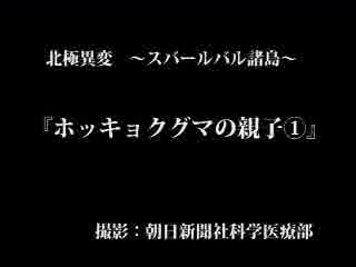 〈北極異変〉ホッキョクグマ