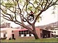 Accidents en BMX