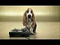 Dog Dj