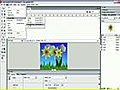 Macromedia Flash 8 - Using Outline Mode,  Layer Folders and Properties