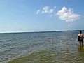 Fort Myers Beach Stingray Swarm