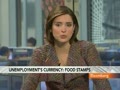 JP Morgan- Profits from Food Stamps and the Growth of Poverty and Suffering in America