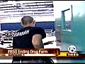 PBSO ends drug farm program (NewsChannel 5)