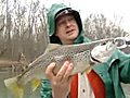 Cumberland Trout Fishing