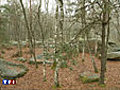 Fontainebleau bientôt parc national ?