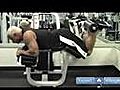 Weight Lifting Exercises for Beginners : Leg Curls Weight Lifting Exercise for Beginners