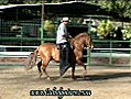 FARAN CABALLO PASO FINO