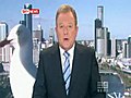 Newsreader Menaced by Giant Seagull