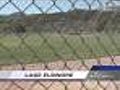 Dogs Take Over Lake Elsinore Little League Park