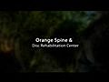 Orange,  CA Headache Relief - Dr. Barry Marks