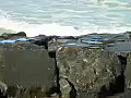 Royalty Free Stock Video HD Footage Waves Crashing Over Sea Wall at Waikiki Beach in Honolulu,  Hawaii