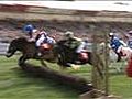 Shetland pony races