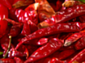 Chili Peppers Hot Tips