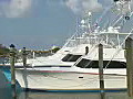 Royalty Free Stock Video HD Footage Boats Docked at a Marina in Jupiter,  Florida