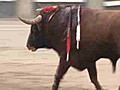 Cataluña prohíbe las corridas de toros