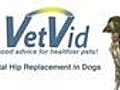 Total Hip Replacement in Dogs - VetVid Episode 016