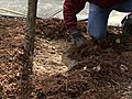 Winterizing Garden - Fertilizing