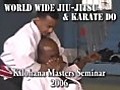 World Wide Jiu Jitsu & Karate Do Demo