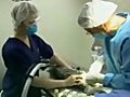 Surgery for Pets: Lasers Help Reduce Pain