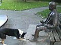 Dog Can’t Understand Why Statue Won&#039;t Play Fetch