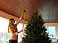 How To Safely Put Up a Real,  Live Christmas Tree