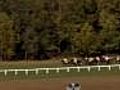 Morven Park Steeplechase Races