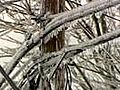 World winter weather