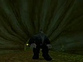 The Widow - A World of Warcraft Horror Story (2005)