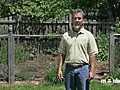 June Gardening Tips - Living With Deer