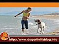 Dog Arthritis PT Series 4 - The Cardio