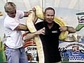 Snake Gets Too Close to Meteorologist