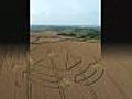 Crop circle- Horton,  nr Devizes, Wiltshire