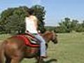 Thunderbird Riding Stables
