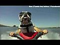 Chien qui fait du jet ski  - xD