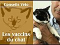 Les vaccins du chat