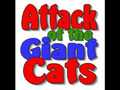 Attack of the Giant Cats!