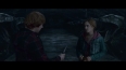 Harry Potter and the Deathly Hallows,  Part 2 - Ron & Hermione In The Chamber Of Secrets