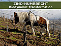 Bio Zind-Humbrecht