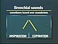 Normal and Adventitious Breath Sounds