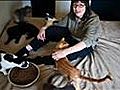 Cat Lady Beats IRS In Court,  Case Sets Precedent