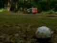 Conn. Teenagers' 'Field Of Dreams' Torn Down