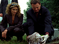 CSI: NY - Hung Out to Dry,  Clip 2