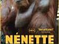 Nenette (2010)
