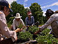 Emeril Green 2: The Clagett Farm CSA