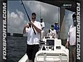 Rays catch a big one!