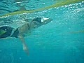 08.9.24 ocean-navi.練習会 2番水中横