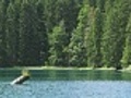 Lake environment