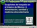 Guajolotes de traspatio en el trópico de México: 2. Alimentación,  sanidad y medicina etnoveterinaria