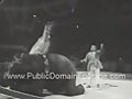 Lama Jumps Over an Elephant Public Domain Archival Footage